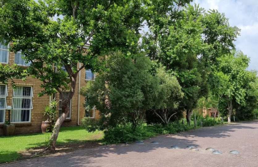 Dwarsweg Lifestyle Estate - Secunda